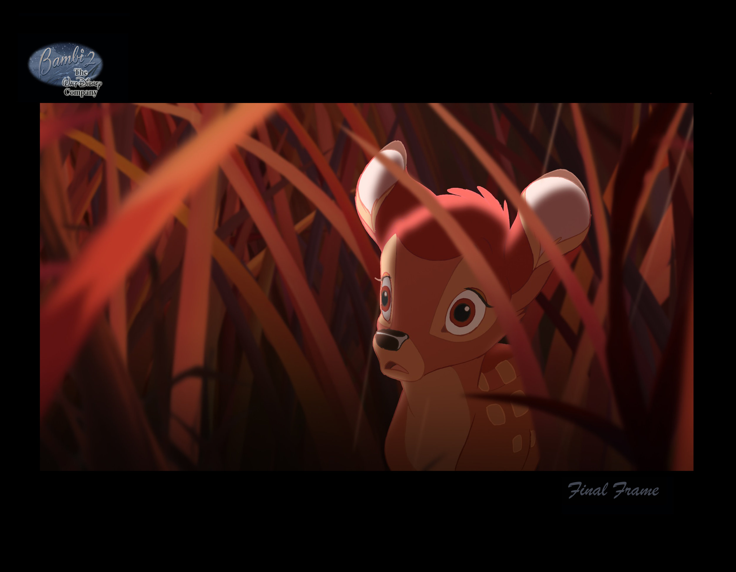 gadidanoniem BAMBI / RED